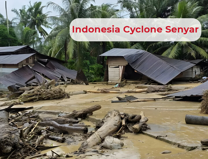 Several wooden houses with corrugated metal roofs collapsed and partially buried in mud and debris. Large tree trunks and branches are scattered across the scene, from Cyclone Senyar in Indonesia. Dense green vegetation is visible in the background.